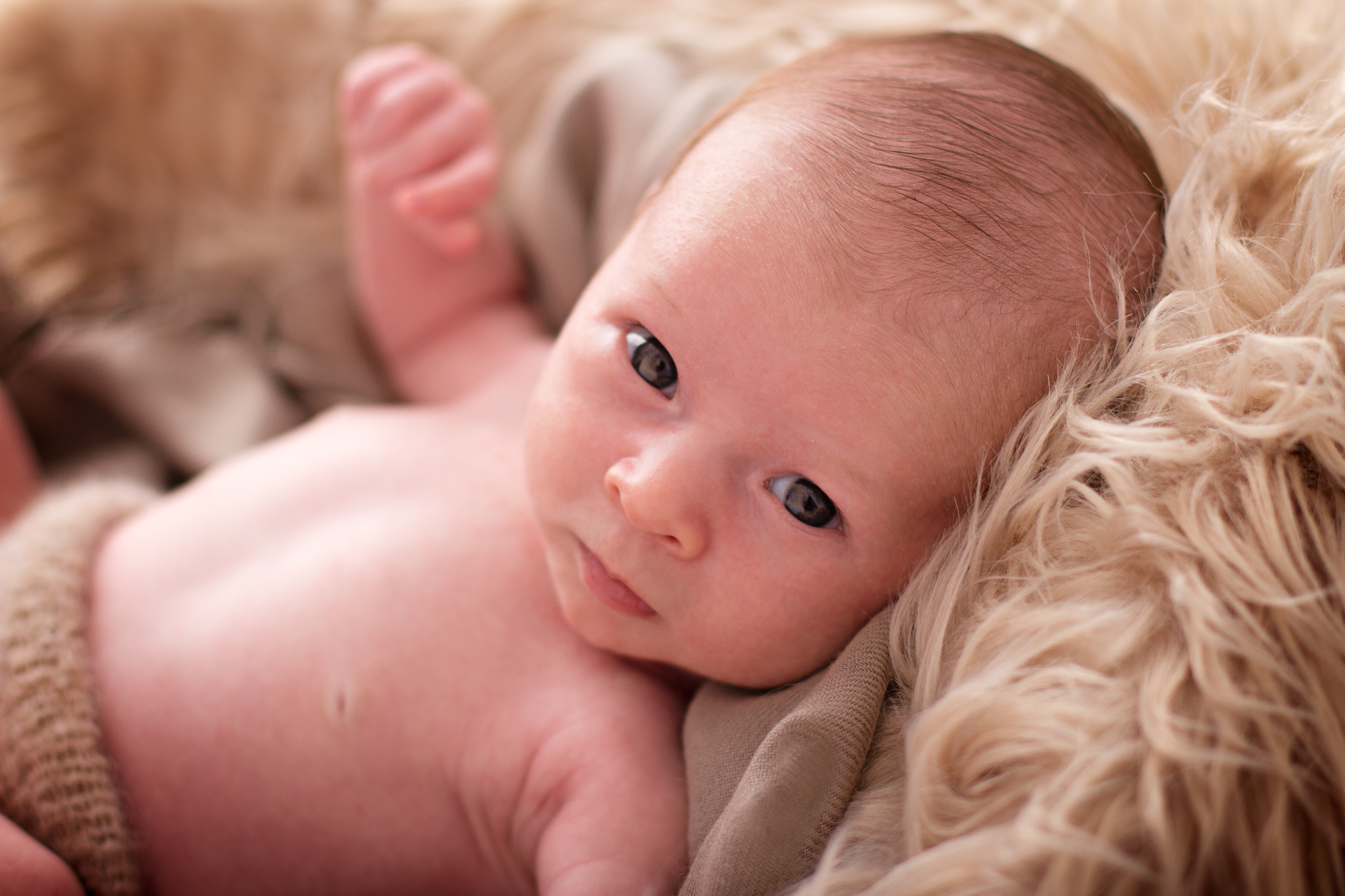 Awake Newborn - Baby Whispers Photography Royston Cambridgeshire