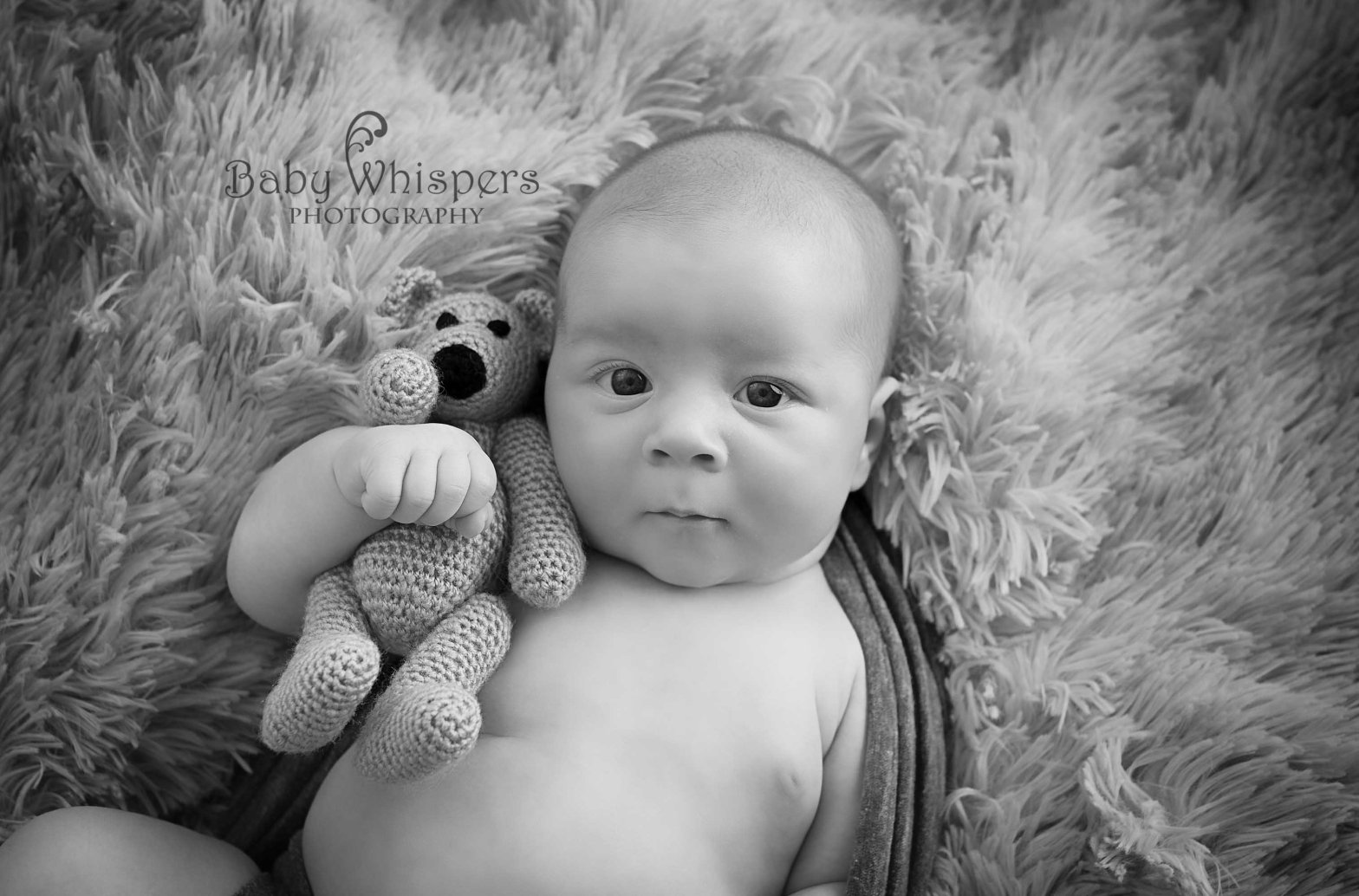Baby and teddy Photo - Baby Whispers Photography Royston Herts